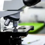 Palermo celebra Stanislao Cannizzaro: al via il congresso internazionale per il bicentenario