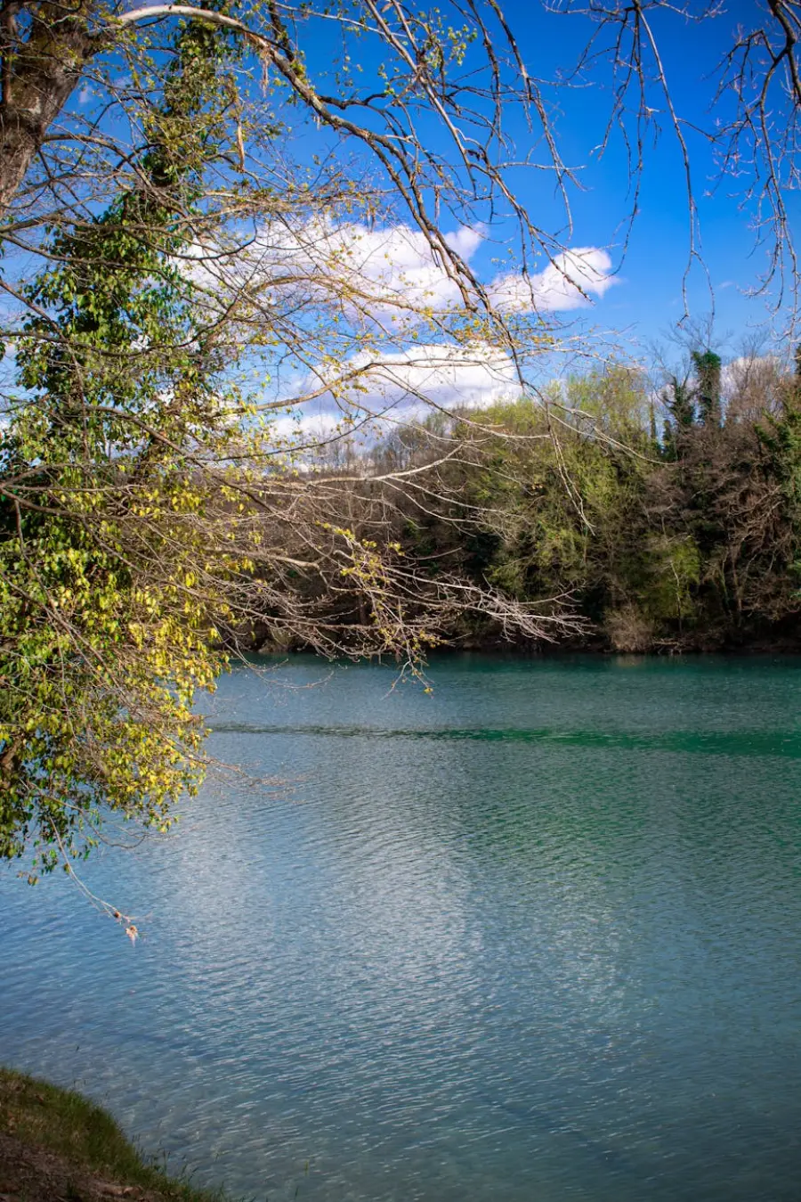 Palermo riscopre il Ponte delle Teste Mozze: riemerge dopo un secolo e apre al pubblico