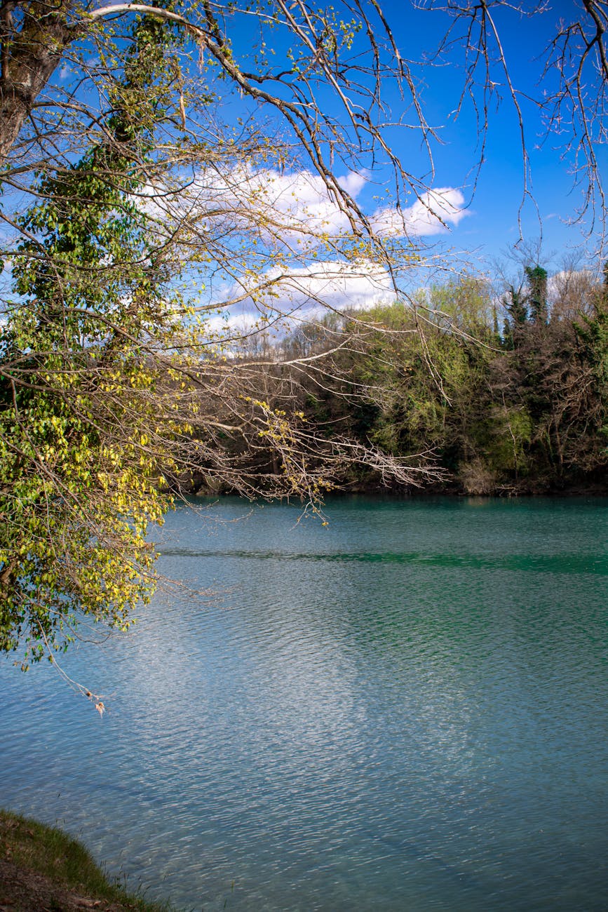 Palermo riscopre il Ponte delle Teste Mozze: riemerge dopo un secolo e apre al pubblico