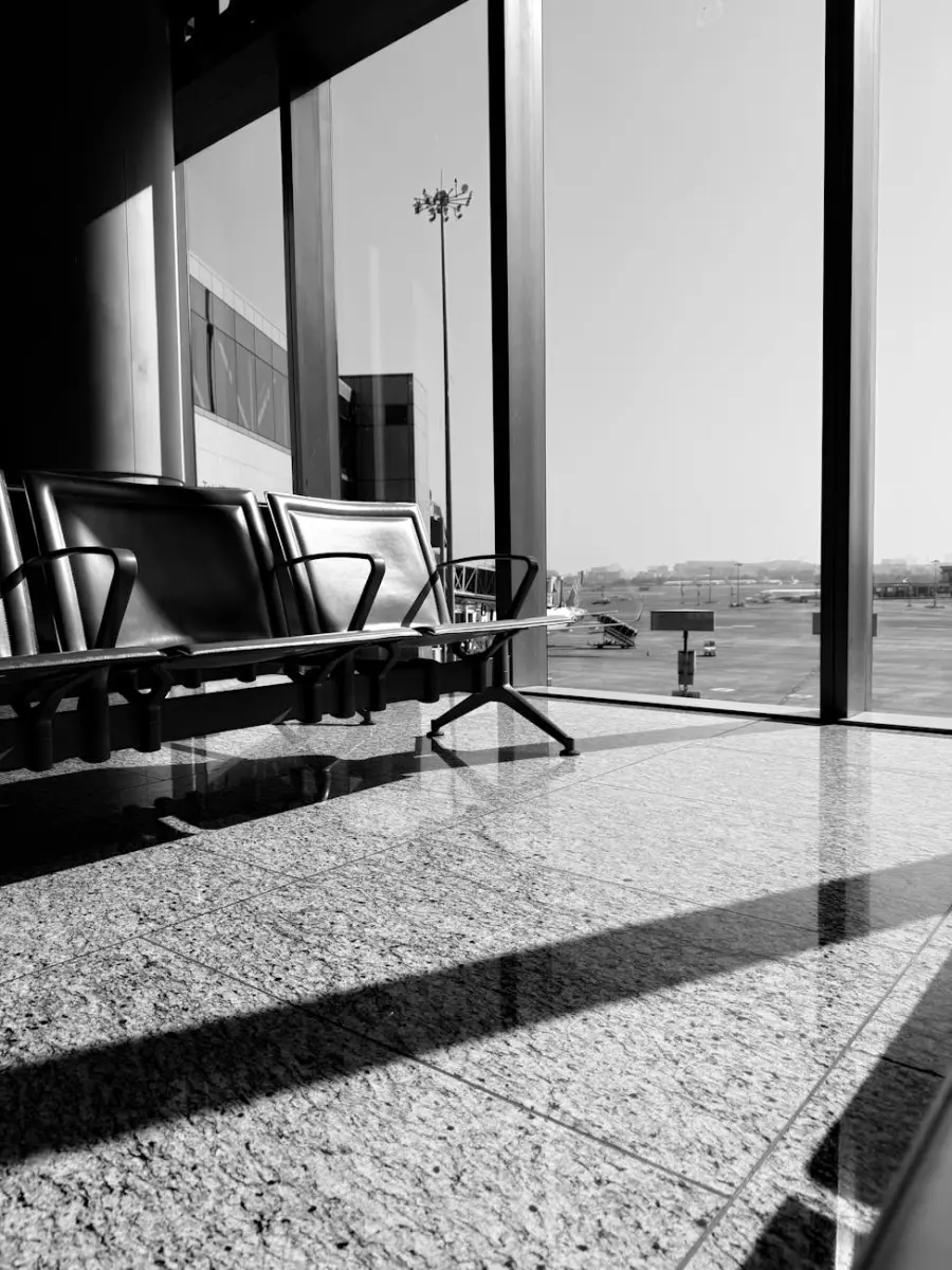 Aeroporto di Palermo, apre l’area Pet: nuovo servizio per chi viaggia con gli animali