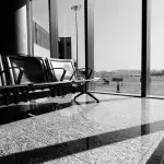 Aeroporto di Palermo, apre l’area Pet: nuovo servizio per chi viaggia con gli animali
