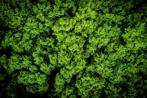 Palermo, corso UniPa sulla transizione ecologica: iscrizioni aperte