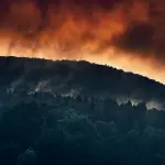 Antincendio boschivo, conclusa l’esercitazione regionale a Castell’Umberto