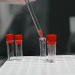 Vaccino HPV, Mazzucco a Ginevra per la strategia adulti