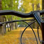 Palermo punta sulla mobilità dolce: nuova segnaletica turistica per i percorsi ciclopedonali